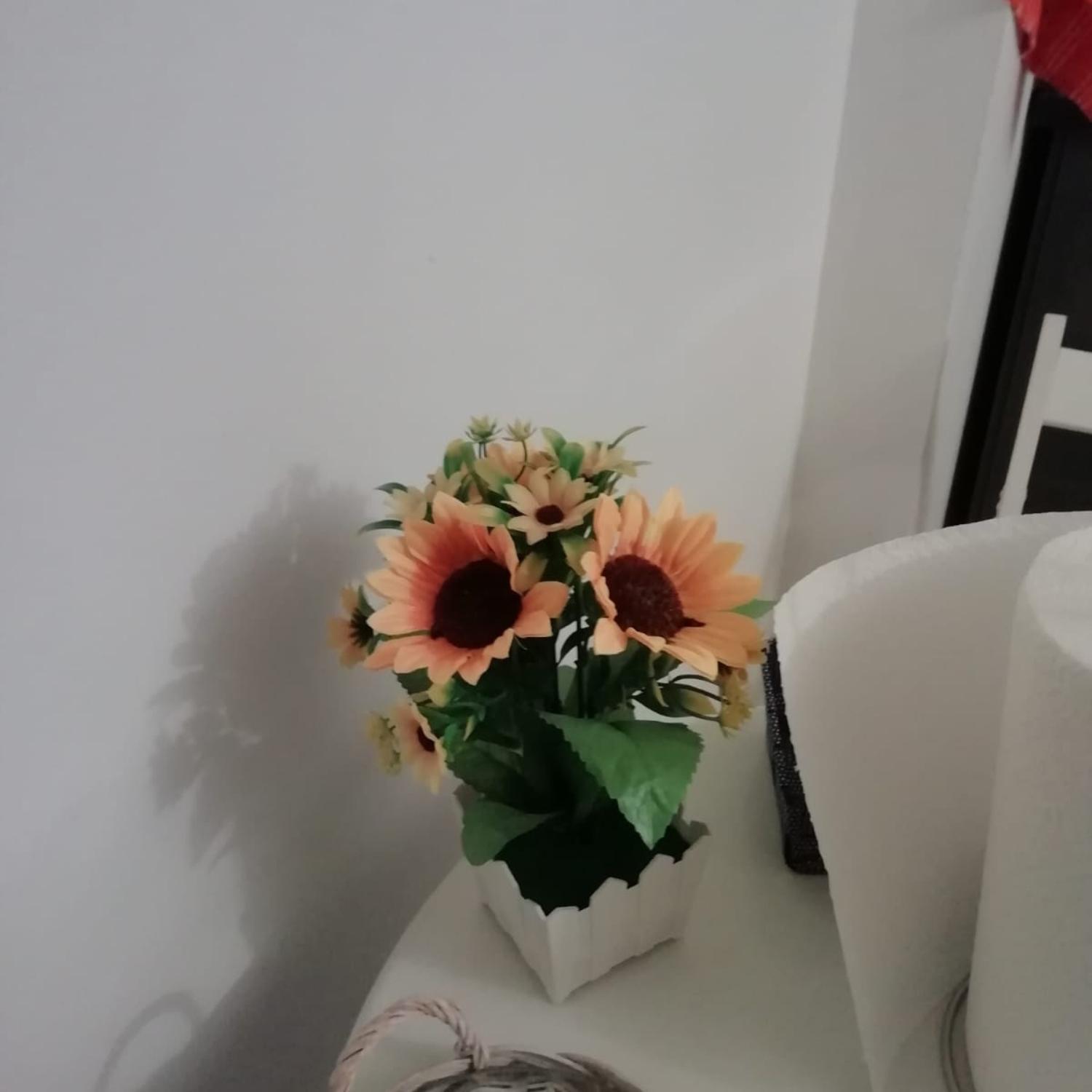 Affection Apartment Bologna Luaran gambar
